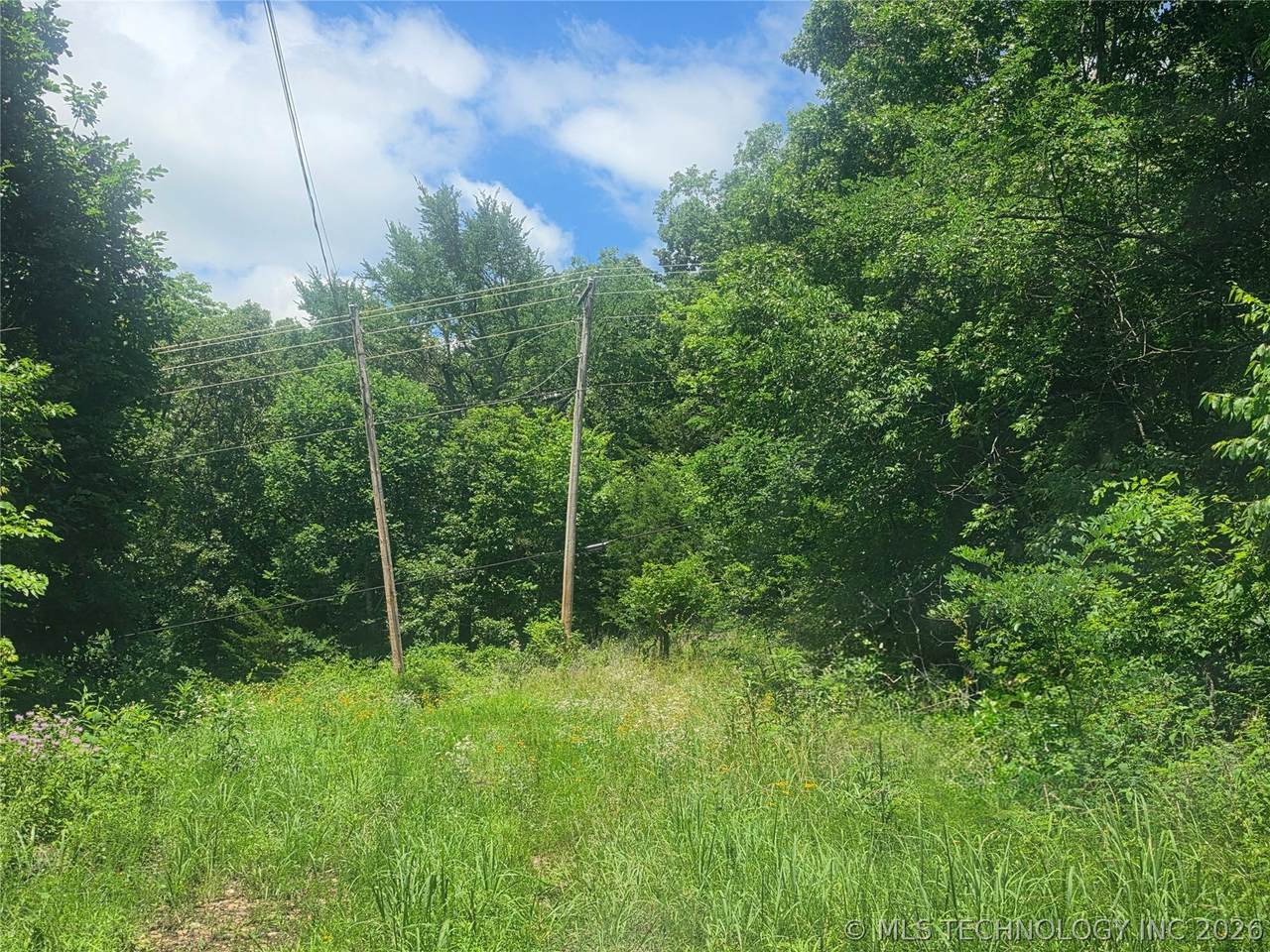 31202 Deer Run Road - Photo 1