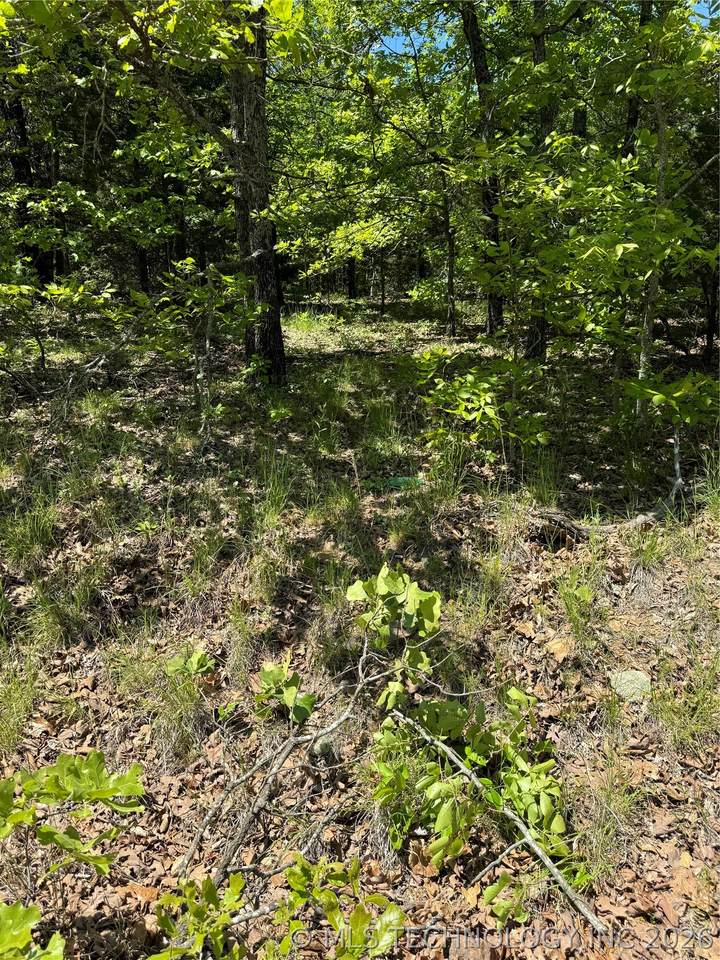 27 4532 Road - Photo 1