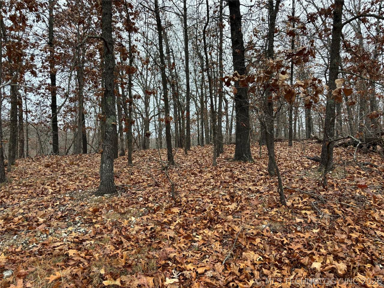  Acorn Ridge - Photo 1