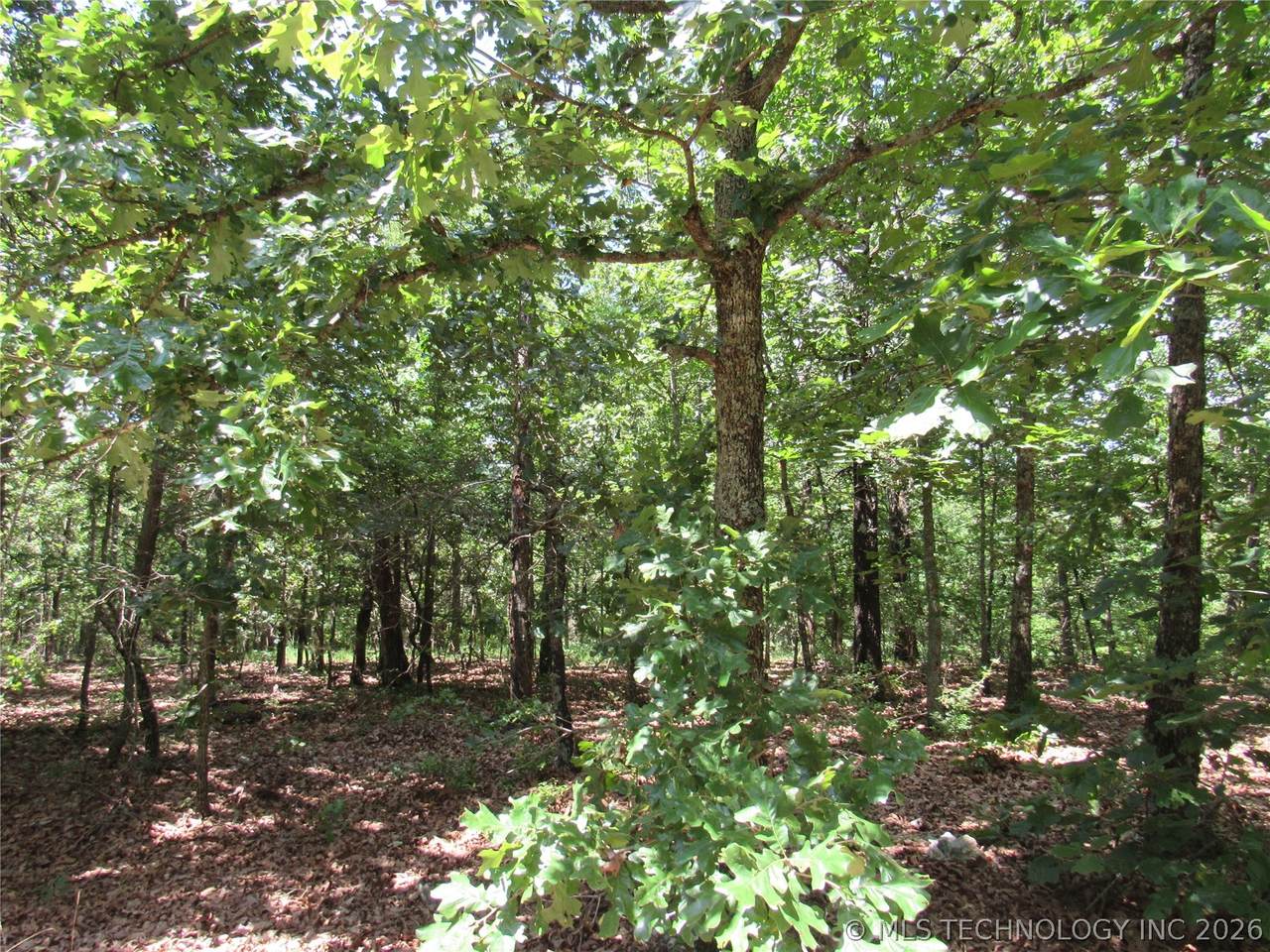 https://bt-photos.global.ssl.fastly.net/tulsa/1280_boomver_1_2624169-2.jpg