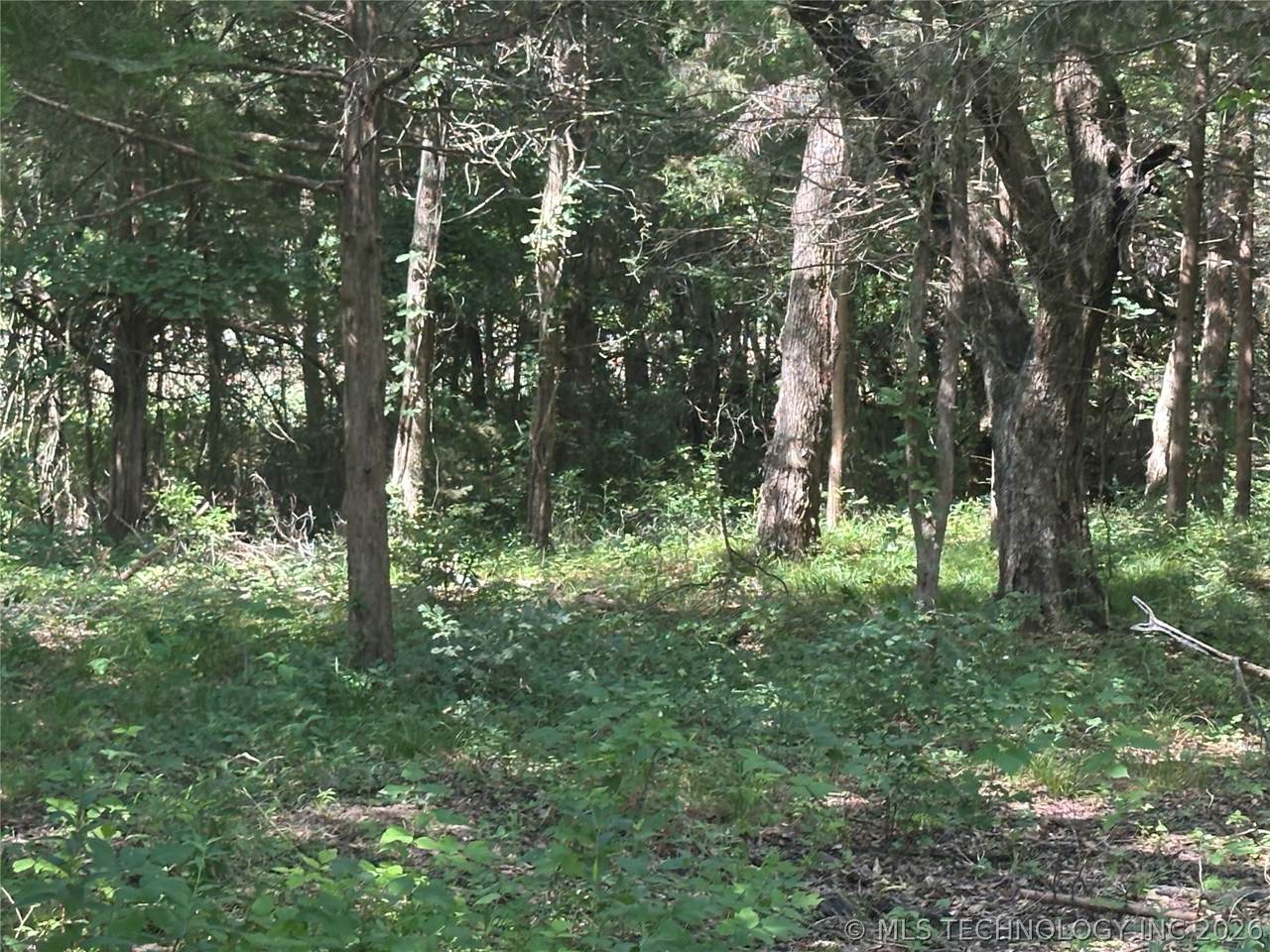 https://bt-photos.global.ssl.fastly.net/tulsa/1280_boomver_1_2624698-2.jpg