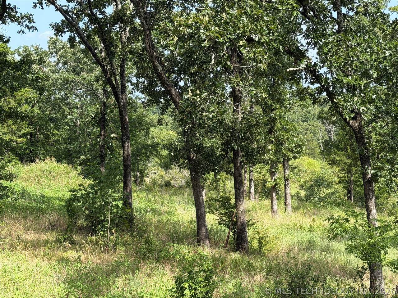  Double Springs Road - Photo 1
