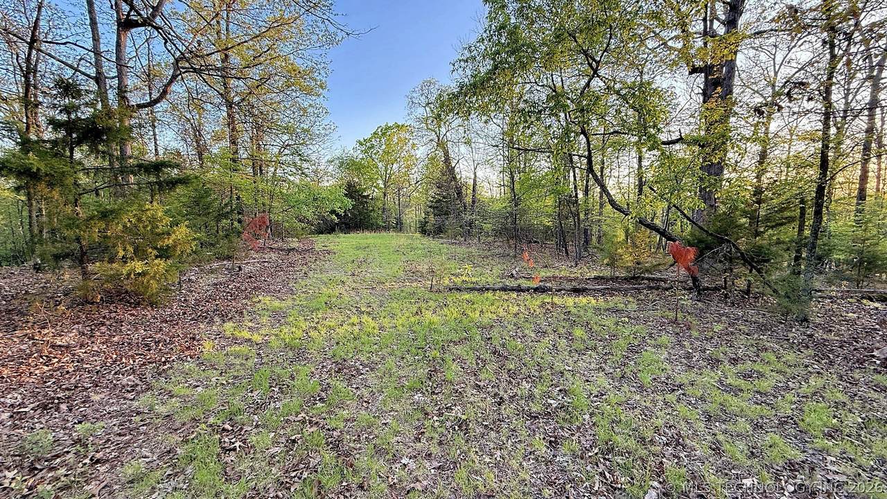 2345 Overlook Drive - Photo 1