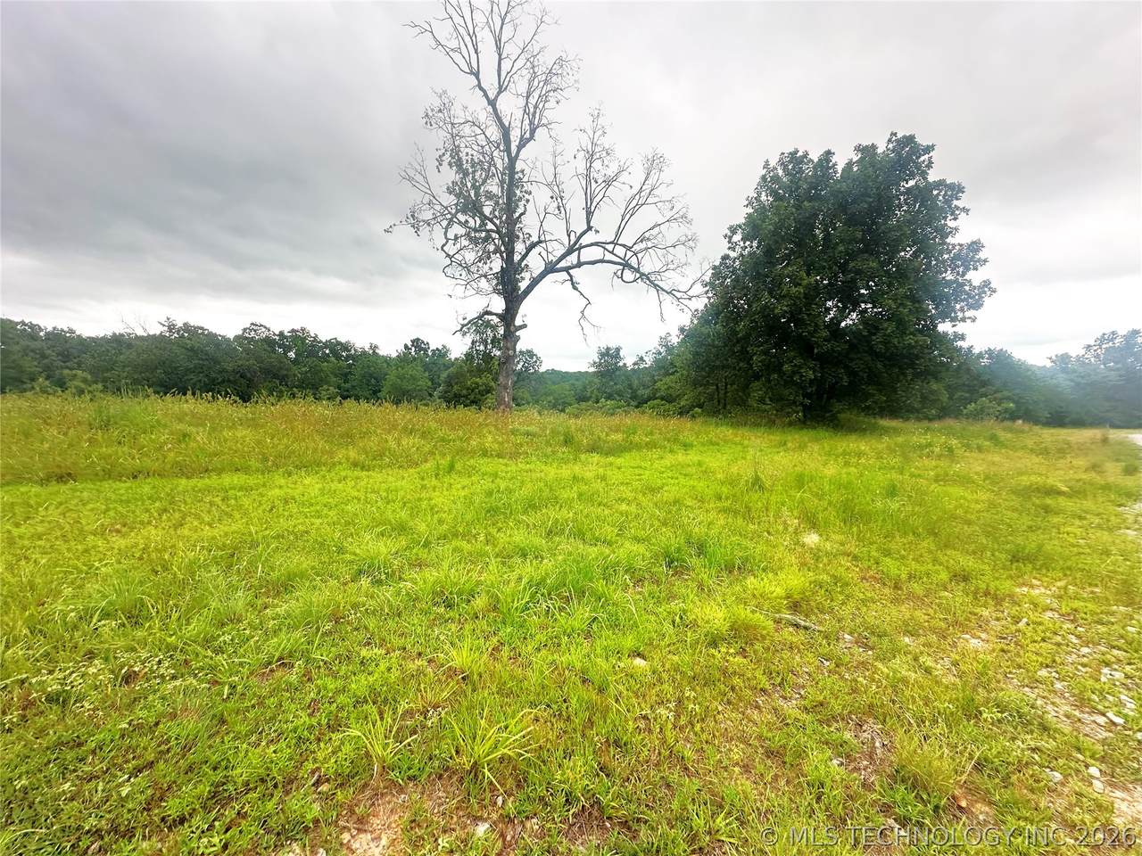41 Loop - Photo 1