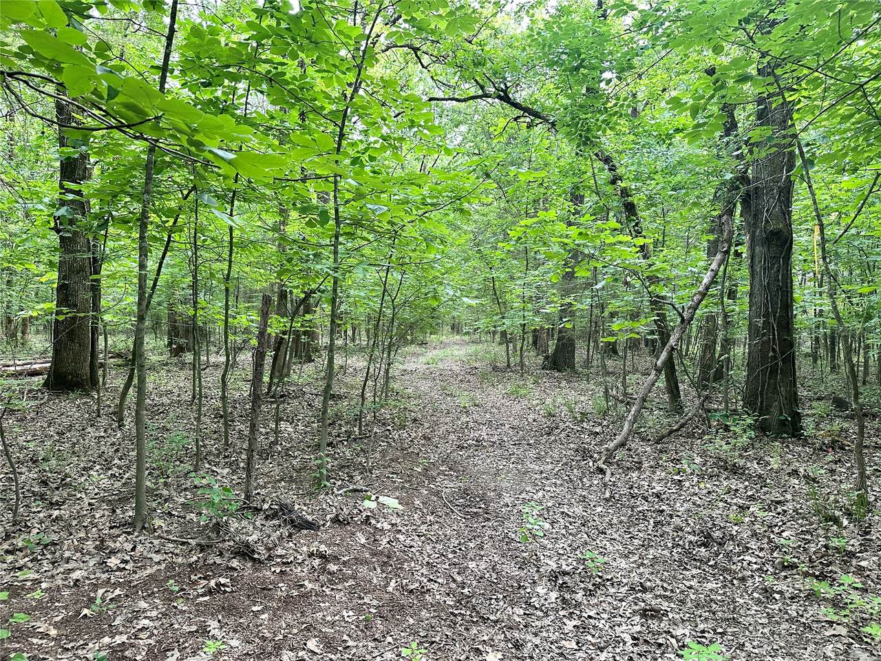 623 Dozer Mountain Road - Photo 1