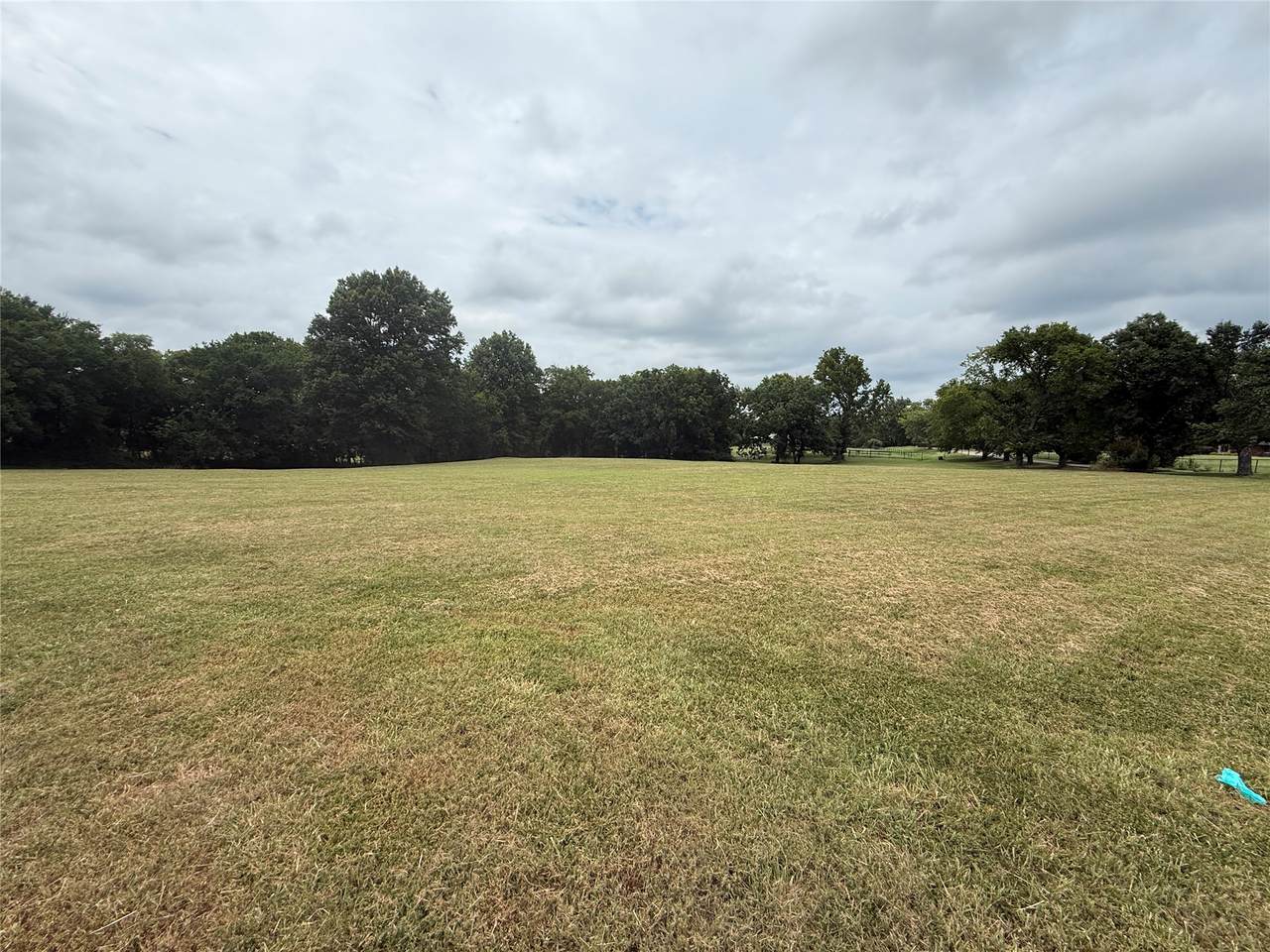  Blue Starr Drive - Photo 1