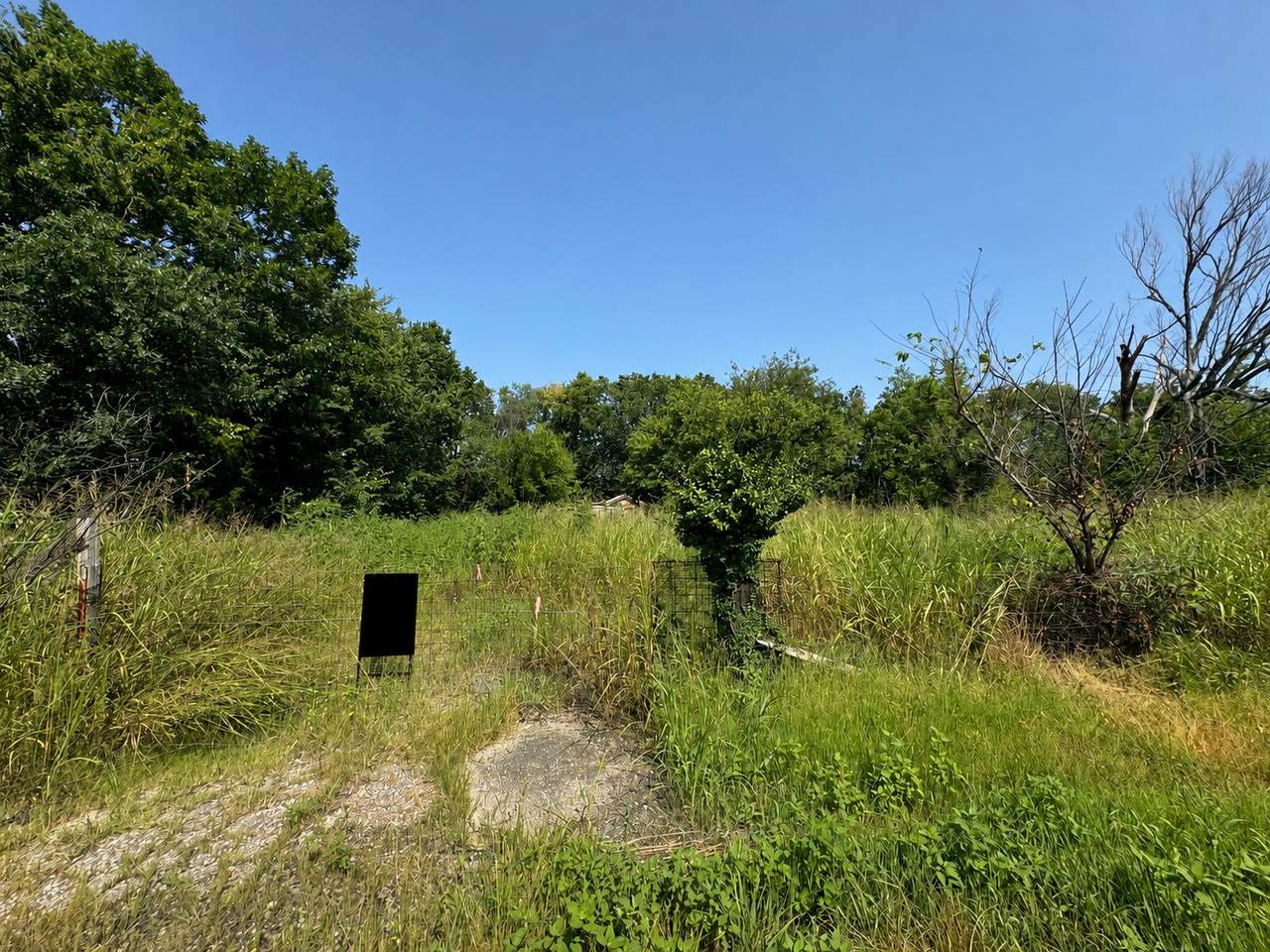 630 Oak Street - Photo 1