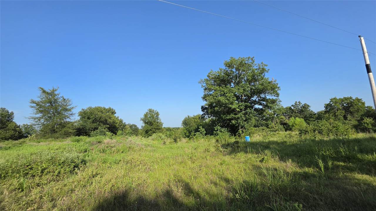 40467 Old Hwy 9 Loop - Photo 1