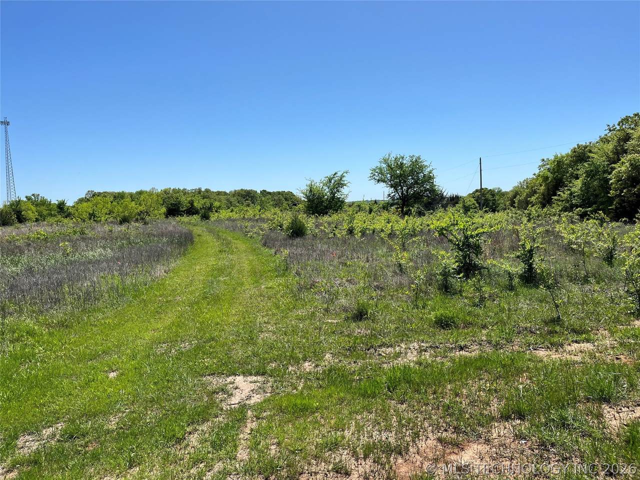  Enos Road - Photo 1