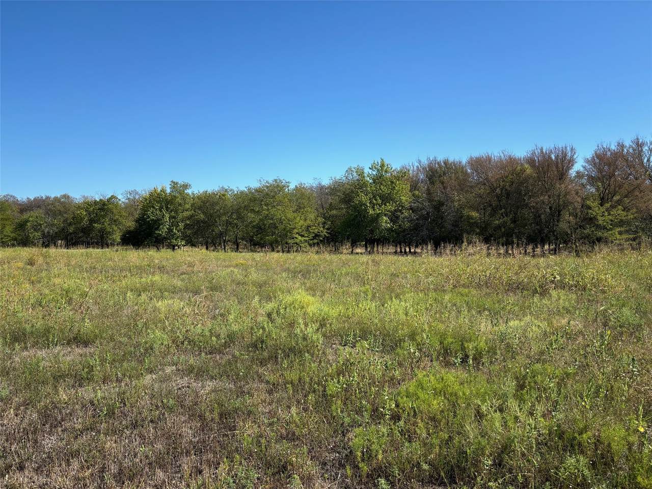 11184 Enos Road - Photo 1