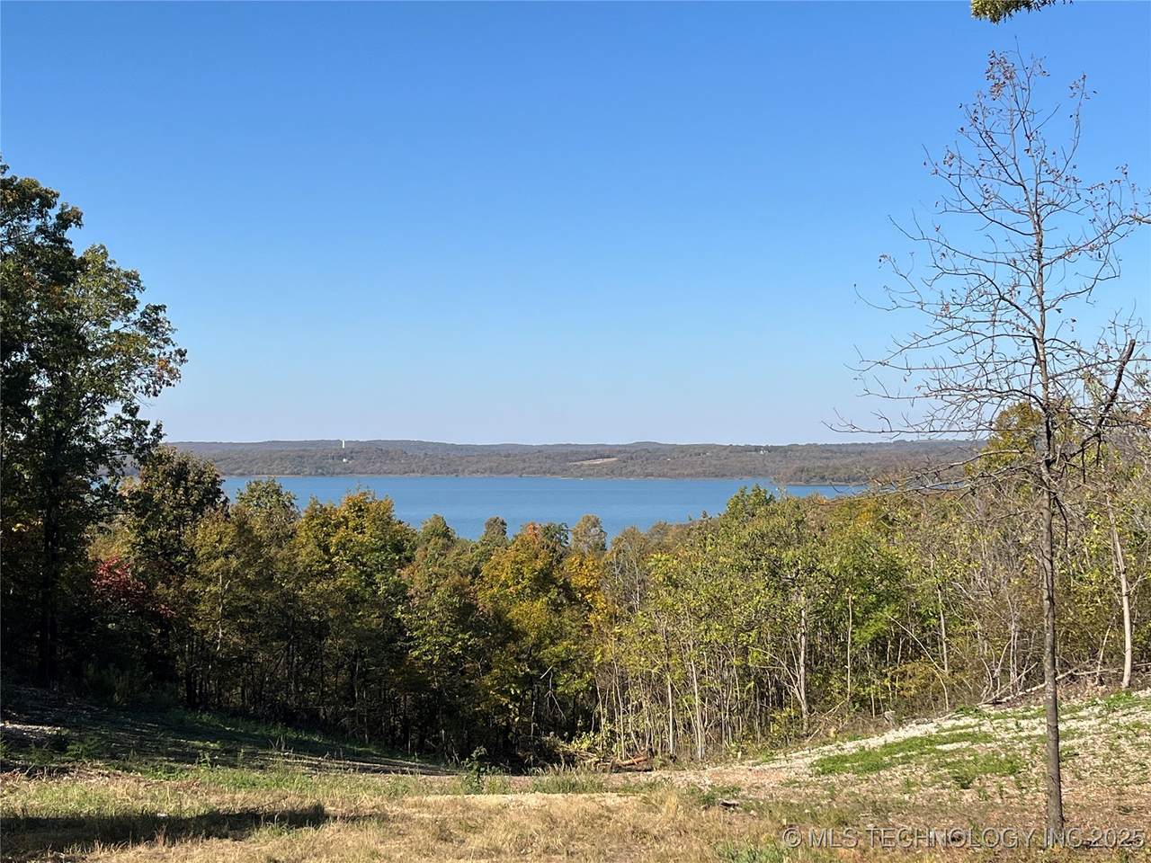 36001 Dogwood - Photo 1