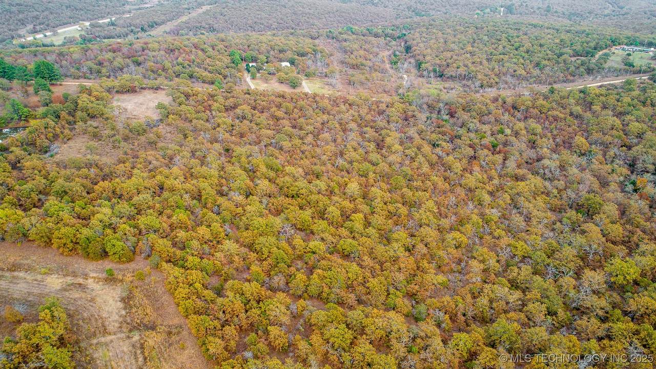  Hickory Hills - Photo 1