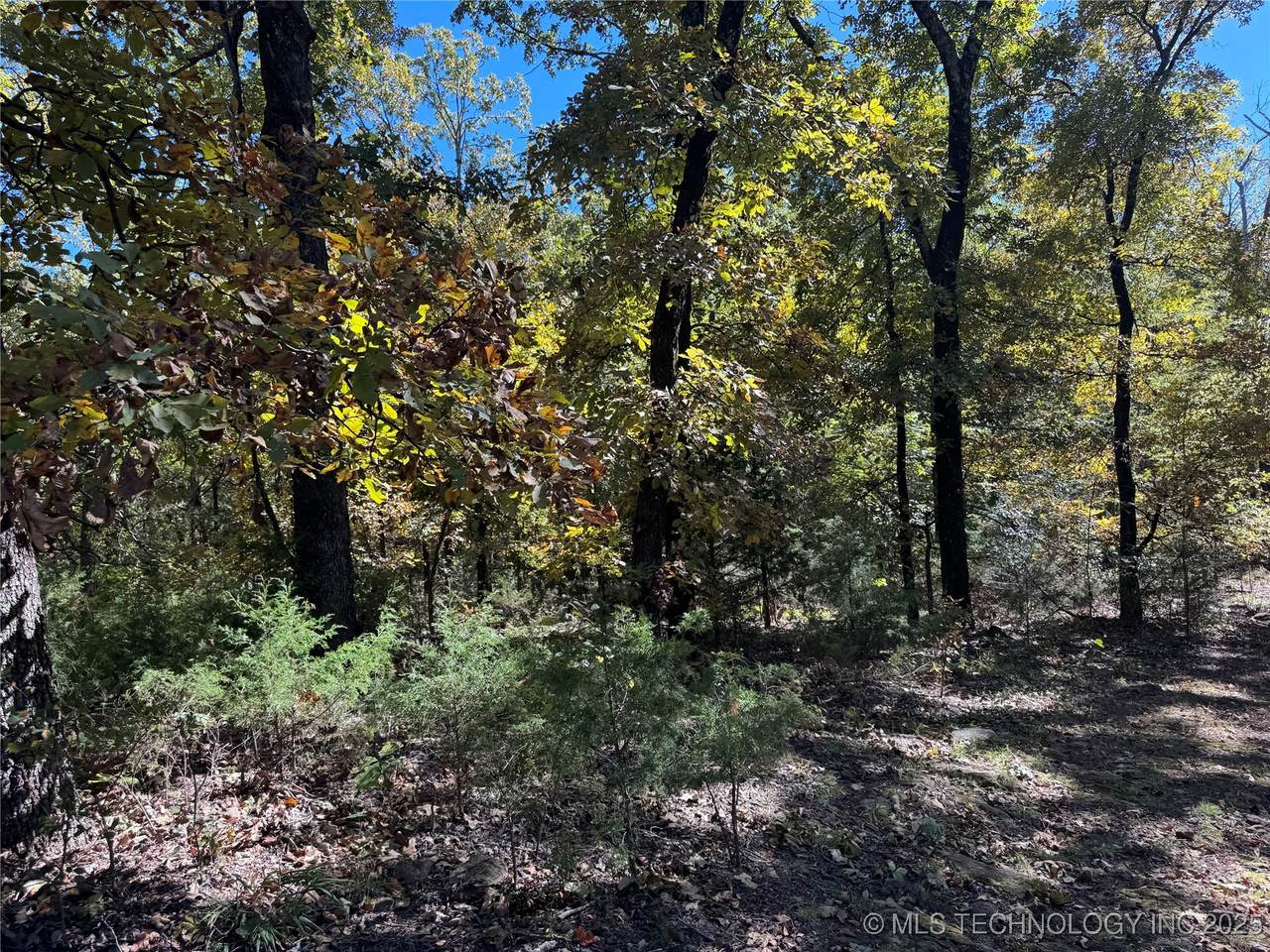 https://bt-photos.global.ssl.fastly.net/tulsa/1280_boomver_2_2544919-2.jpg