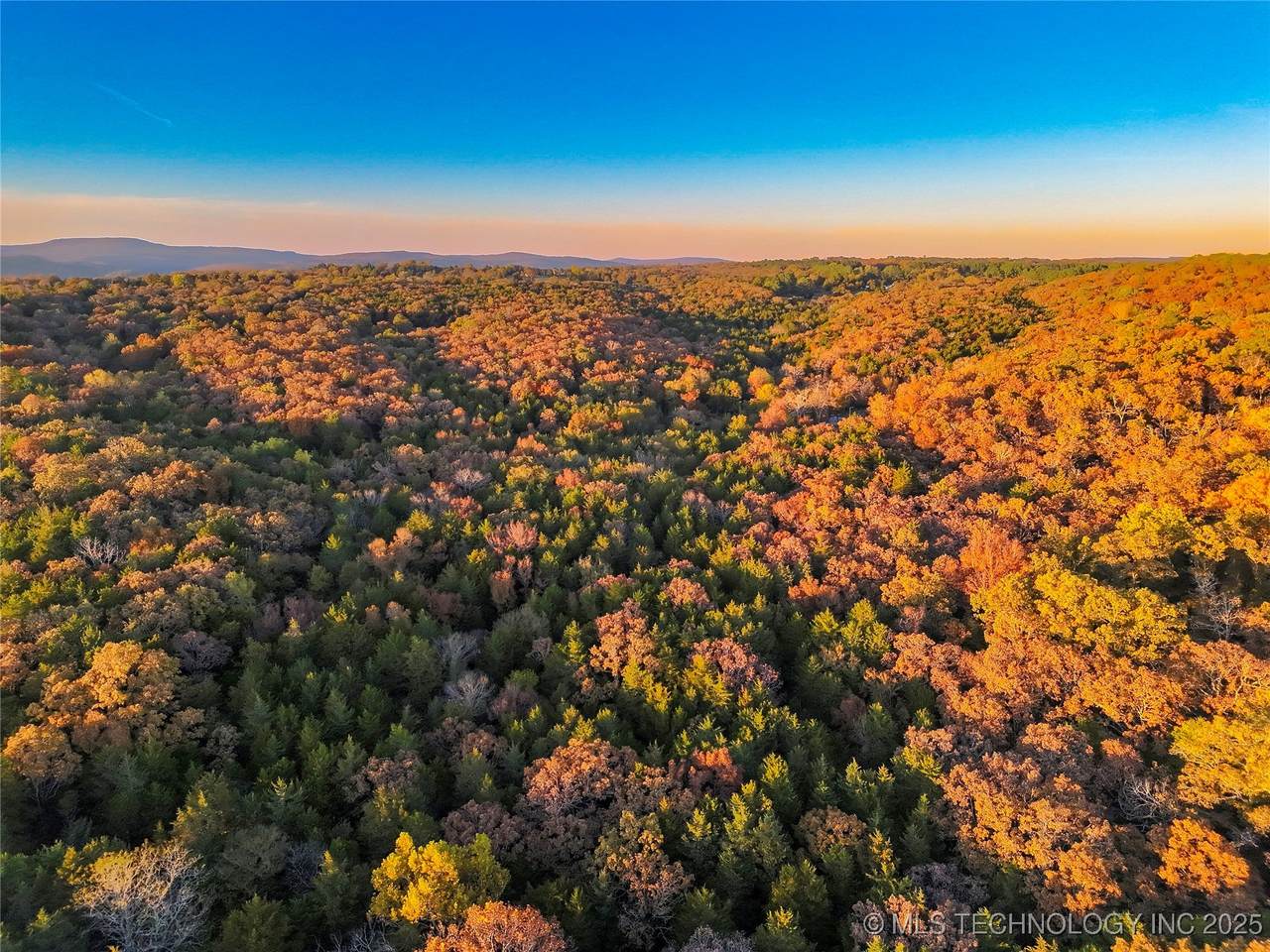 2 1000 Road - Photo 1