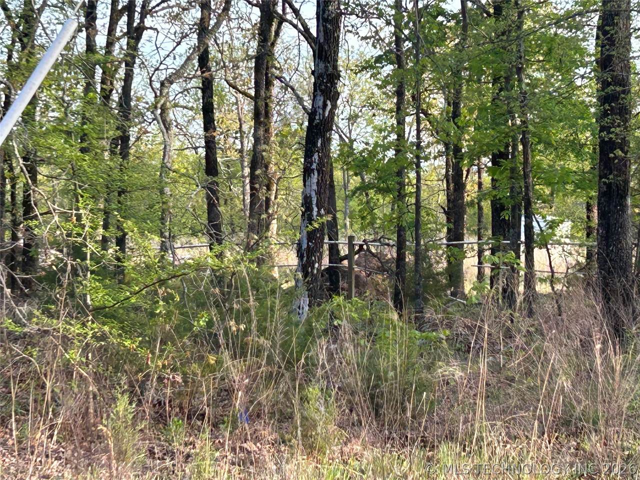 https://bt-photos.global.ssl.fastly.net/tulsa/1280_boomver_2_2611210-2.jpg