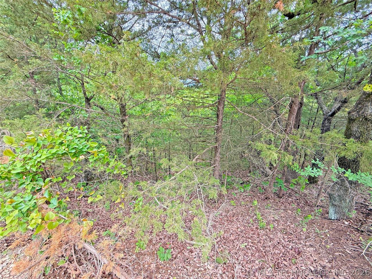 https://bt-photos.global.ssl.fastly.net/tulsa/1280_boomver_1_2614541-2.jpg