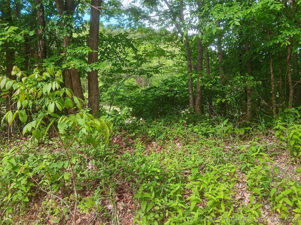 000 510 Road - Photo 1