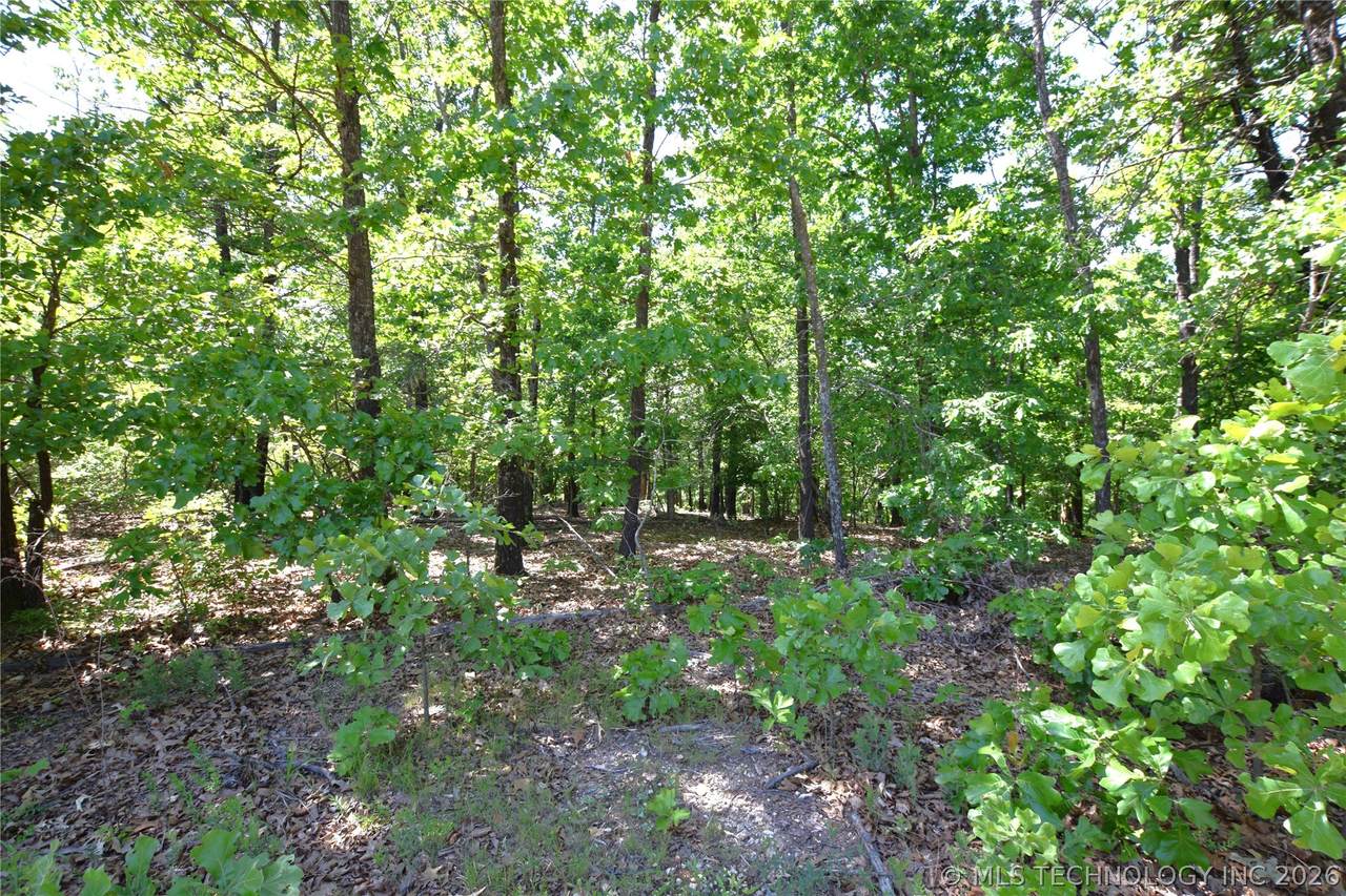 6387 Sacred Fire Ridge Road - Photo 1