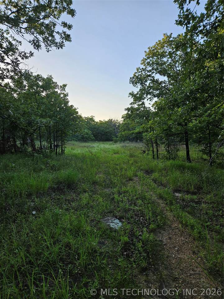  Hickory Lane - Photo 1