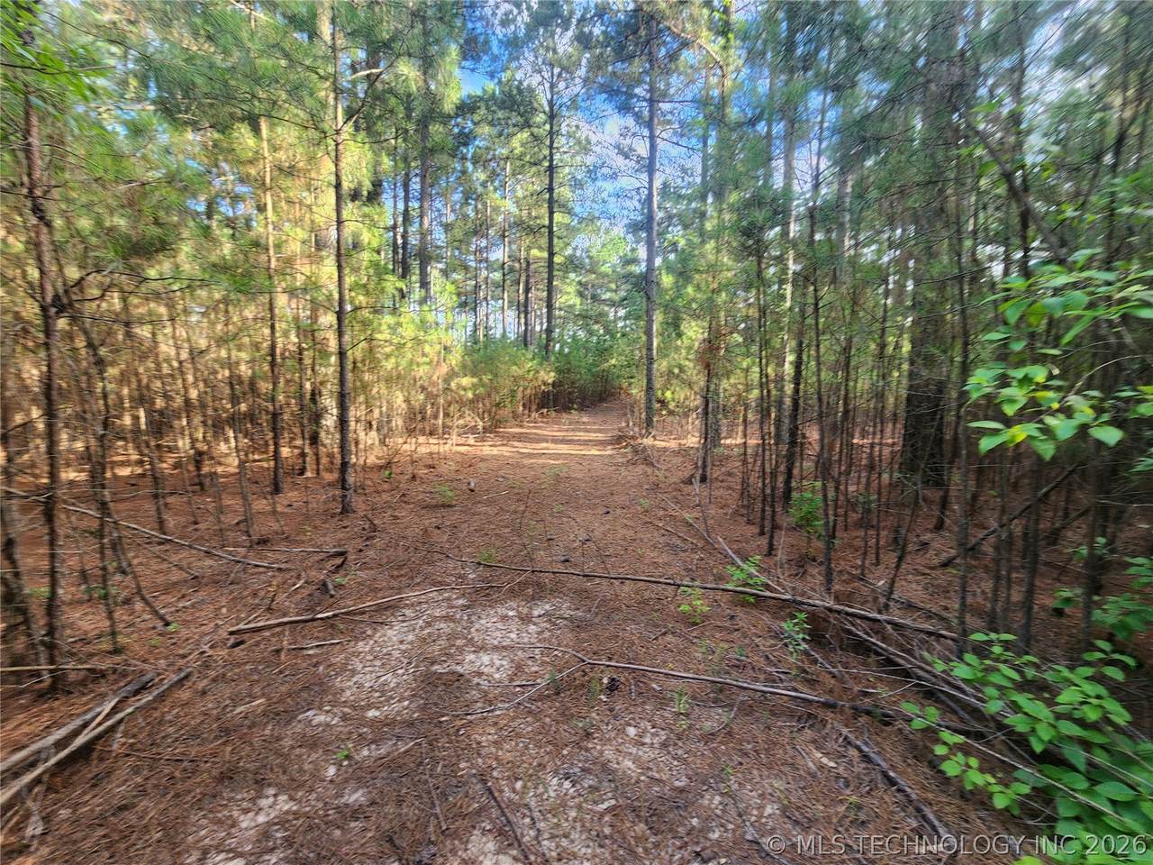  County Road - Photo 1