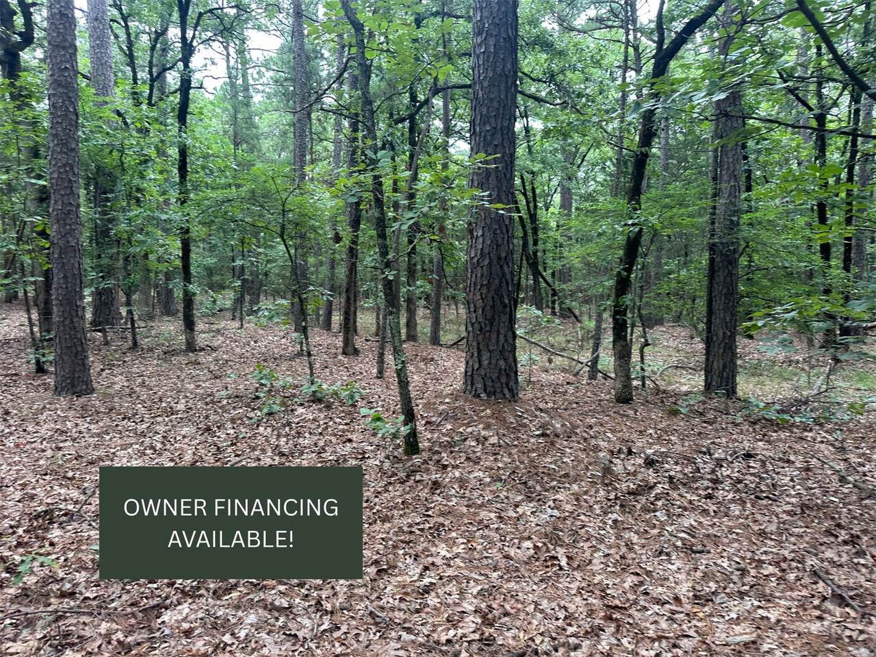 001 Johns Valley Road - Photo 1
