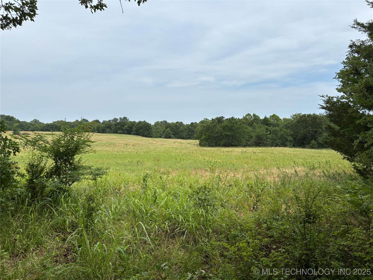 3703 Jim Mac - Photo 1