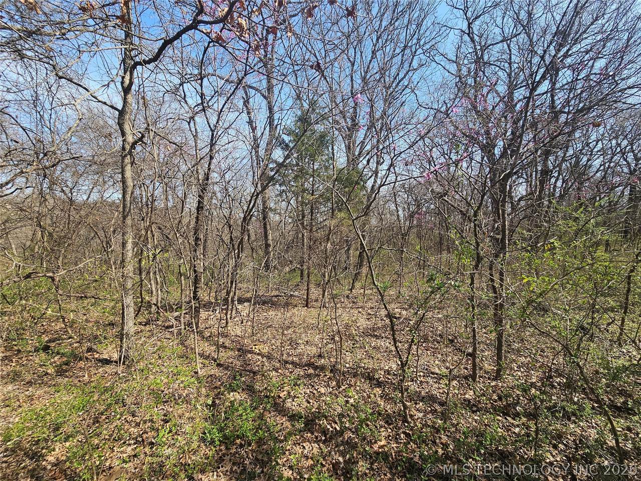 3 500 Road - Photo 1