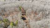 14209 439th Road - Photo 18