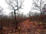  Butternut Road - Photo 52