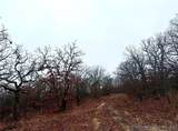  Butternut Road - Photo 53