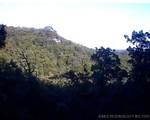  4055 - Photo 1