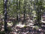  4055 - Photo 12