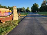  Hummingbird Lane - Photo 6