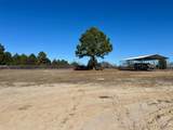 12296 Pineview Circle - Photo 4
