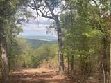 20504 Chicken Creek Road - Photo 28