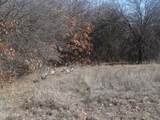  Standing Oak Drive - Photo 5