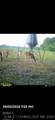 00 Hwy 31 Highway - Photo 11