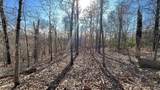 2361 Overlook Trace - Photo 9