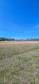 5 Eunice Burns Road - Photo 24