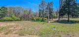 123 Coon Creek Drive - Photo 4