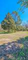 123 Coon Creek Drive - Photo 6