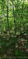 1 Jackson Mountain Road - Photo 10