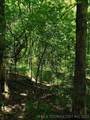 1 Jackson Mountain Road - Photo 4