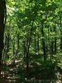 1 Jackson Mountain Road - Photo 8