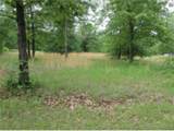 326 Hummingbird Lane - Photo 5