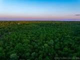 15 Hwy 20 - Photo 22