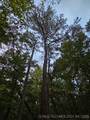  600 Road - Photo 2