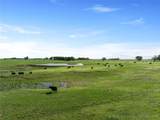 12785 280 Road - Photo 53
