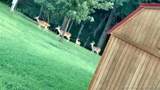 460925 1146 Road - Photo 13