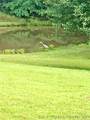 460925 1146 Road - Photo 15